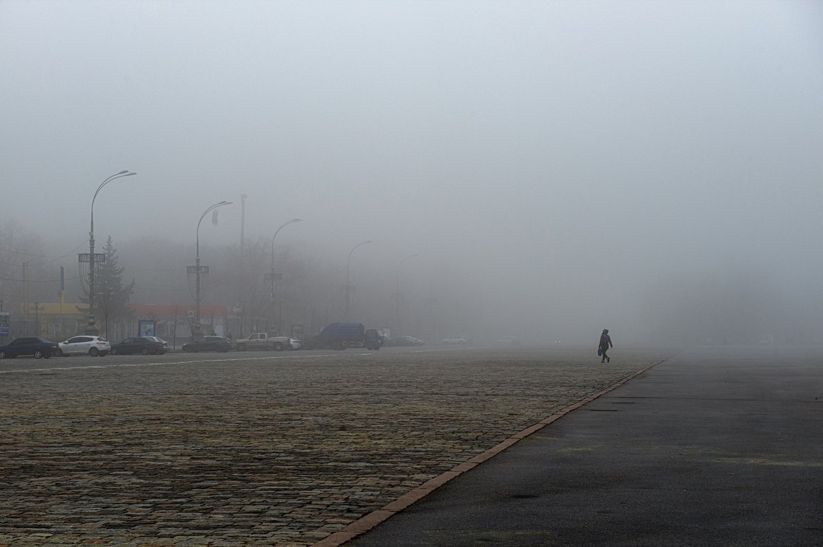 David Nott Foundation tweet media