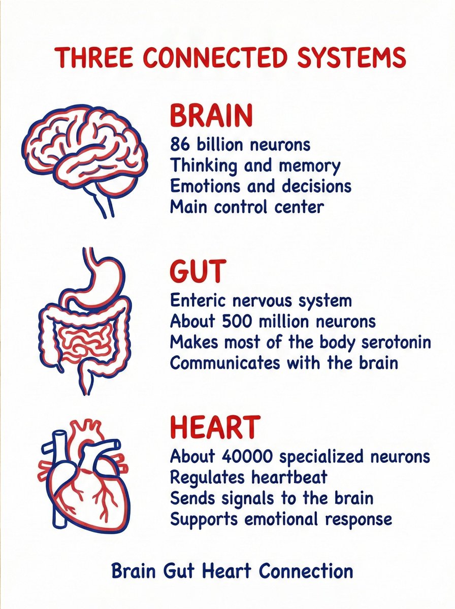 How the brain, gut, and heart work together.
