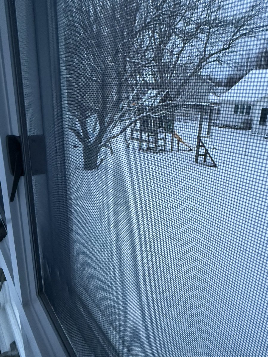 Amy 💕 tweet media