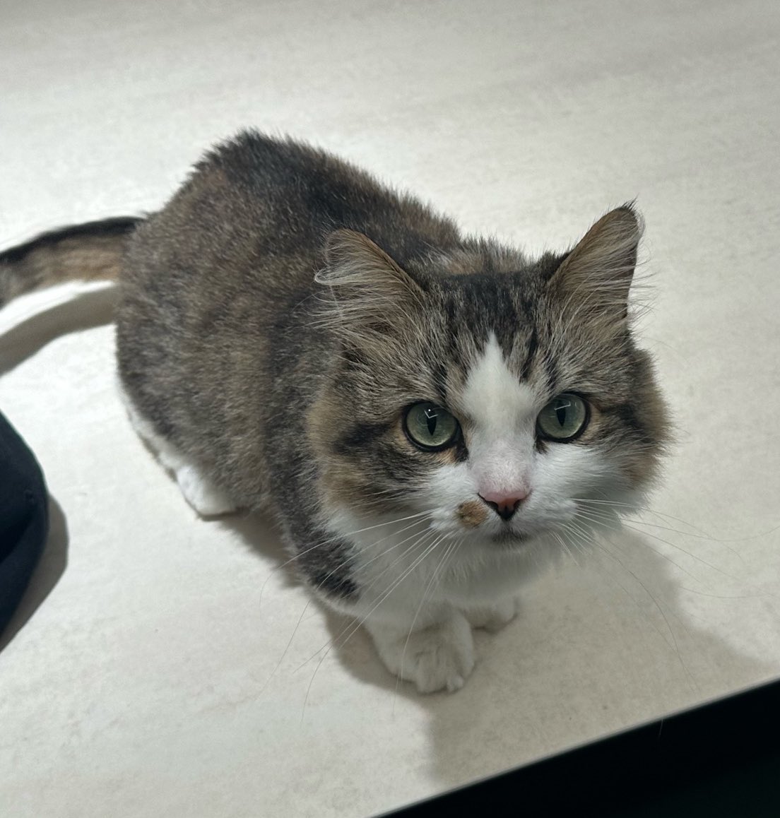 박빈수레 tweet media