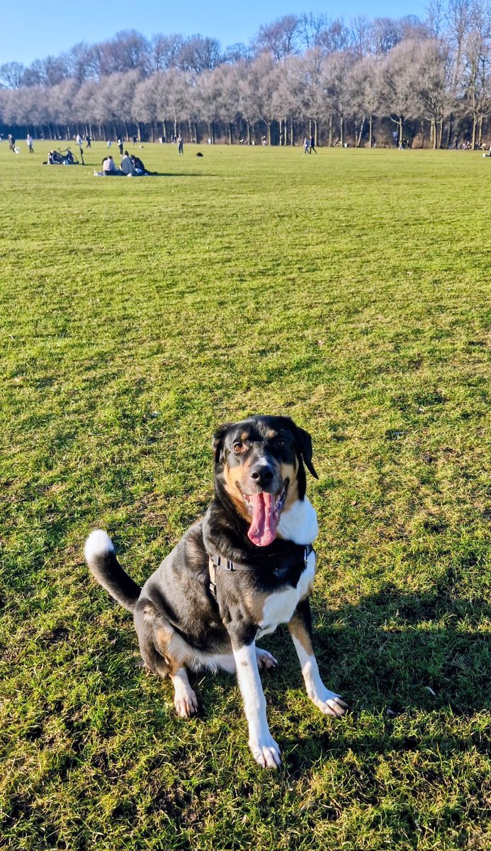 ✨️ Böğün çoh güsel bi gündü vallah da büsürü koşdum çoh güseldi ✨️