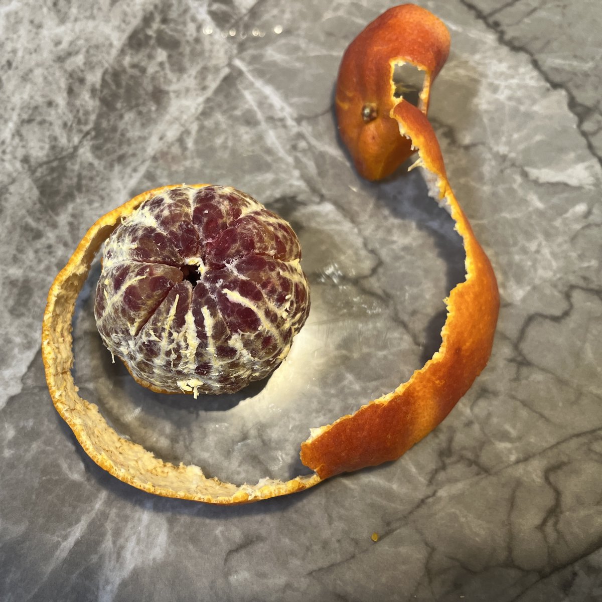 📣かんみ2月号 発送中！ 今号は「手で剥けるブラッドオレンジ」こと