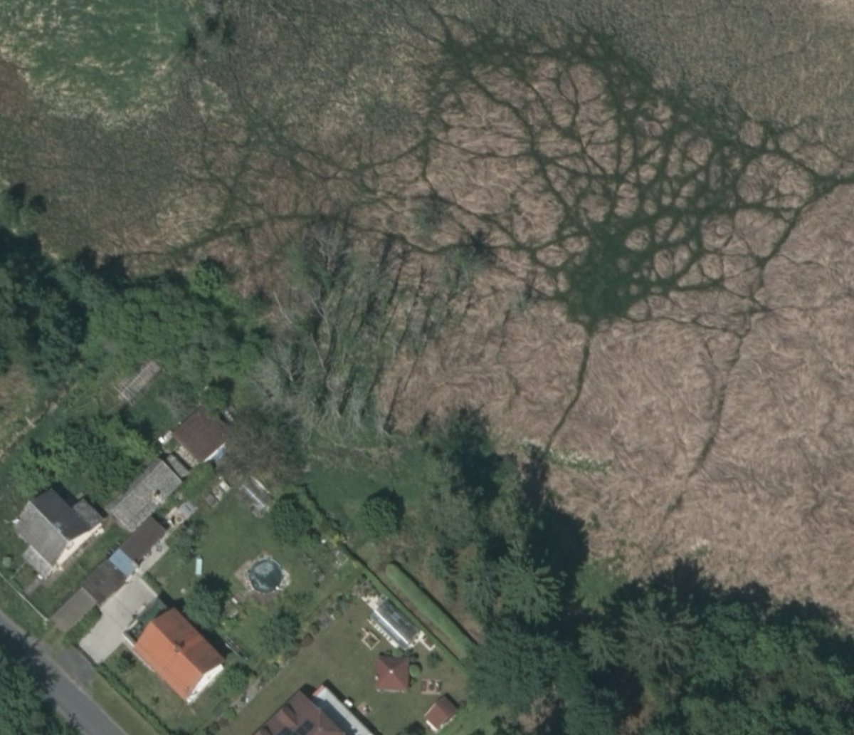 Jiří Veselý tweet media