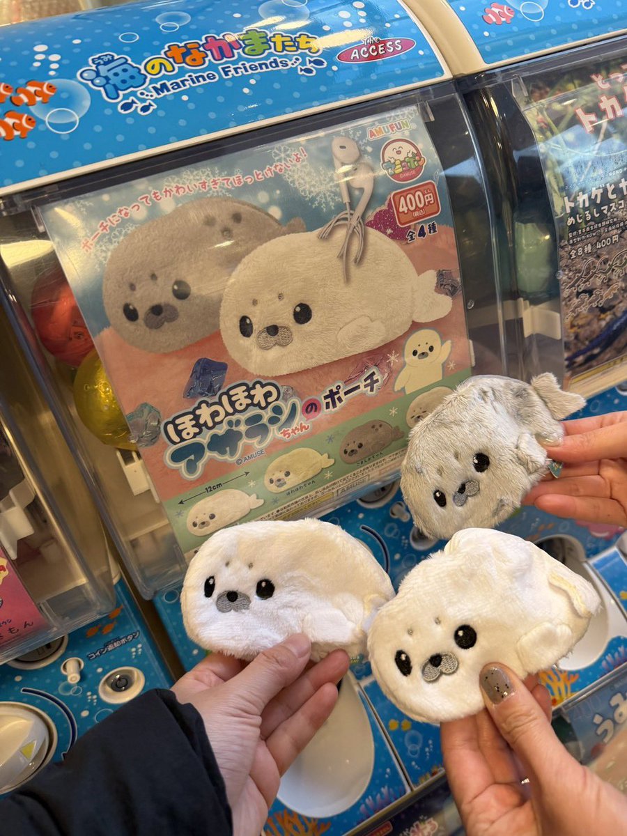 fp_mol's tweet photo. @wsober2124 あ、そかそか！家族の協力いいね🤩
私も探してみる🥺
土日行けたら行ってみてくるわ💪🏻

あざらし言ってないのにバレてる…🫨笑
一枚目拾い画だけど笑
品川水族館にはあるらしい😭
サンエックスは全然みかけねぇ😭 https://t.co/rzkKn9VYce