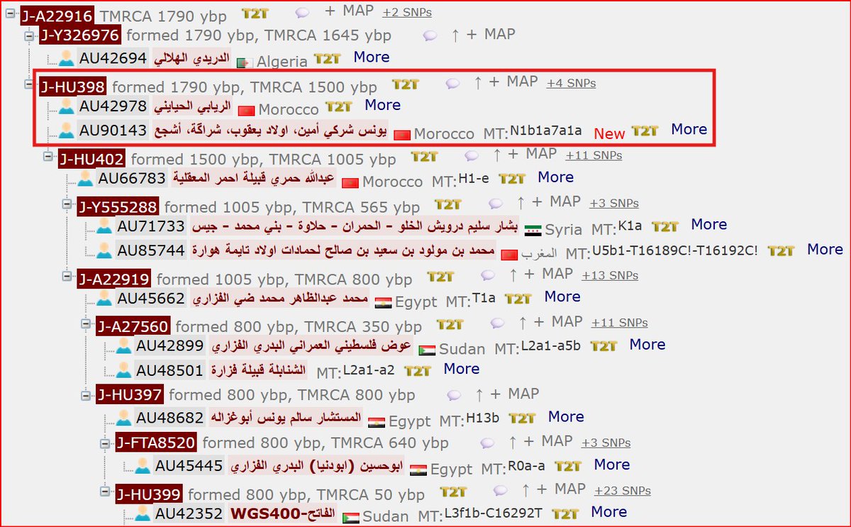 ΕLFΛΤiΗ SΛLiΜ الفاتح سالم tweet media