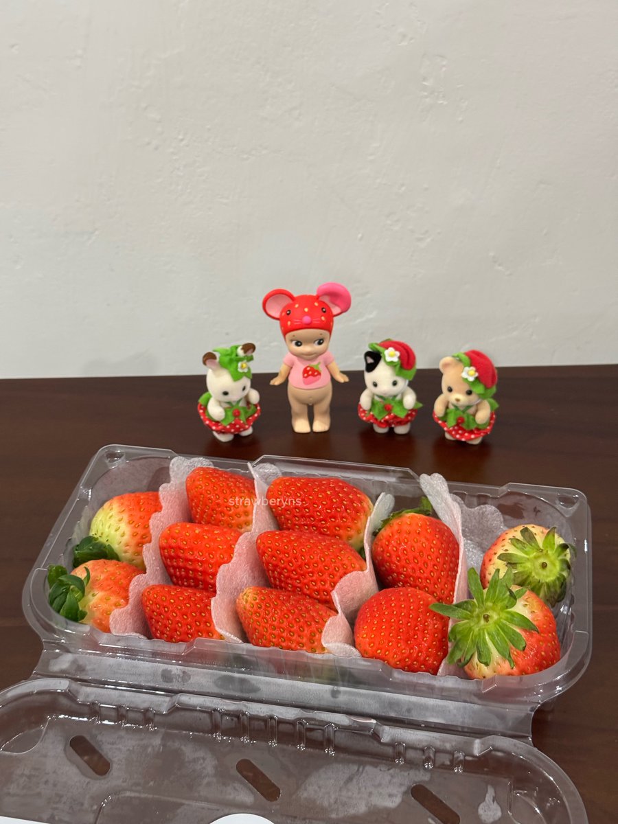 ryn 🍓 tweet media