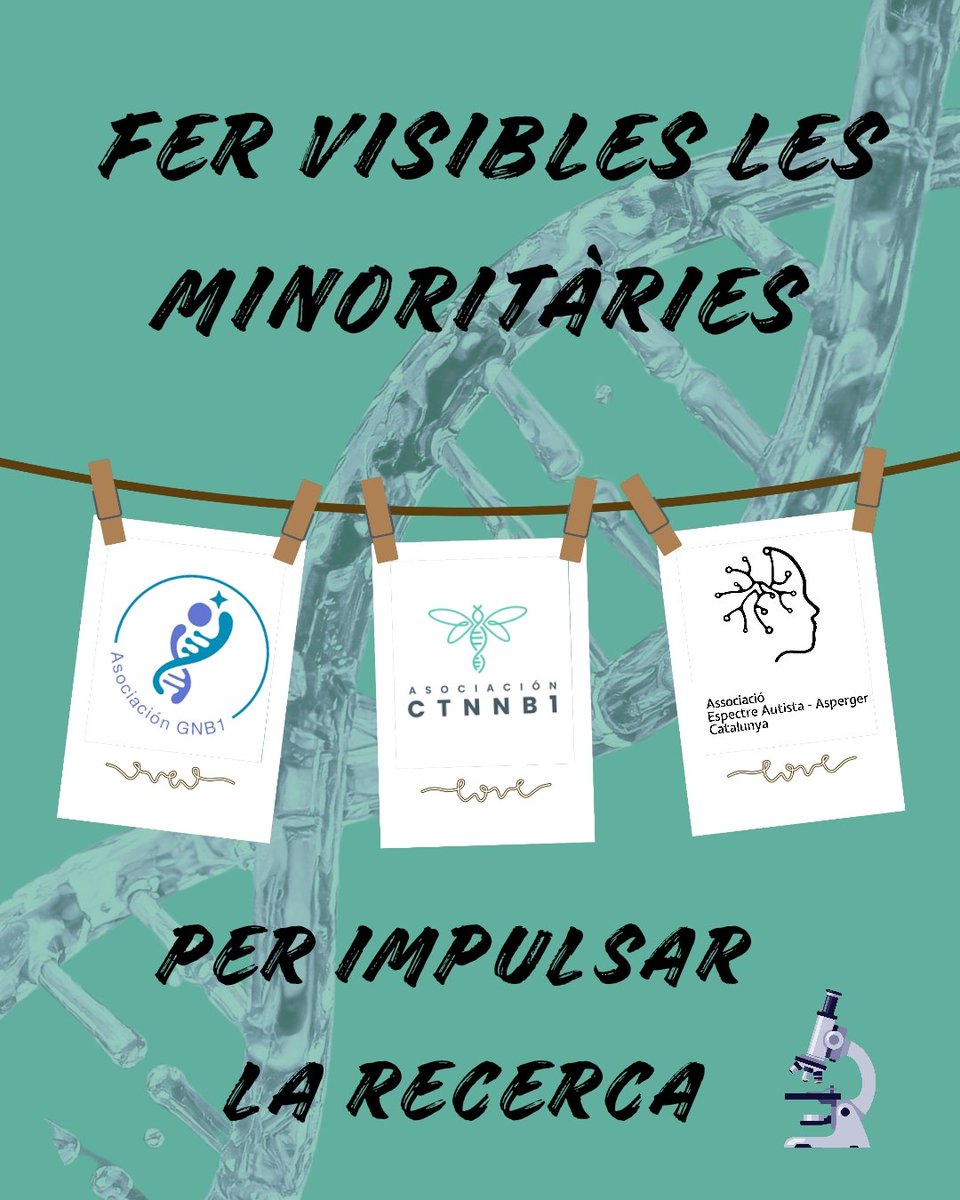 Curses infantil Adaptada Eixample tweet media