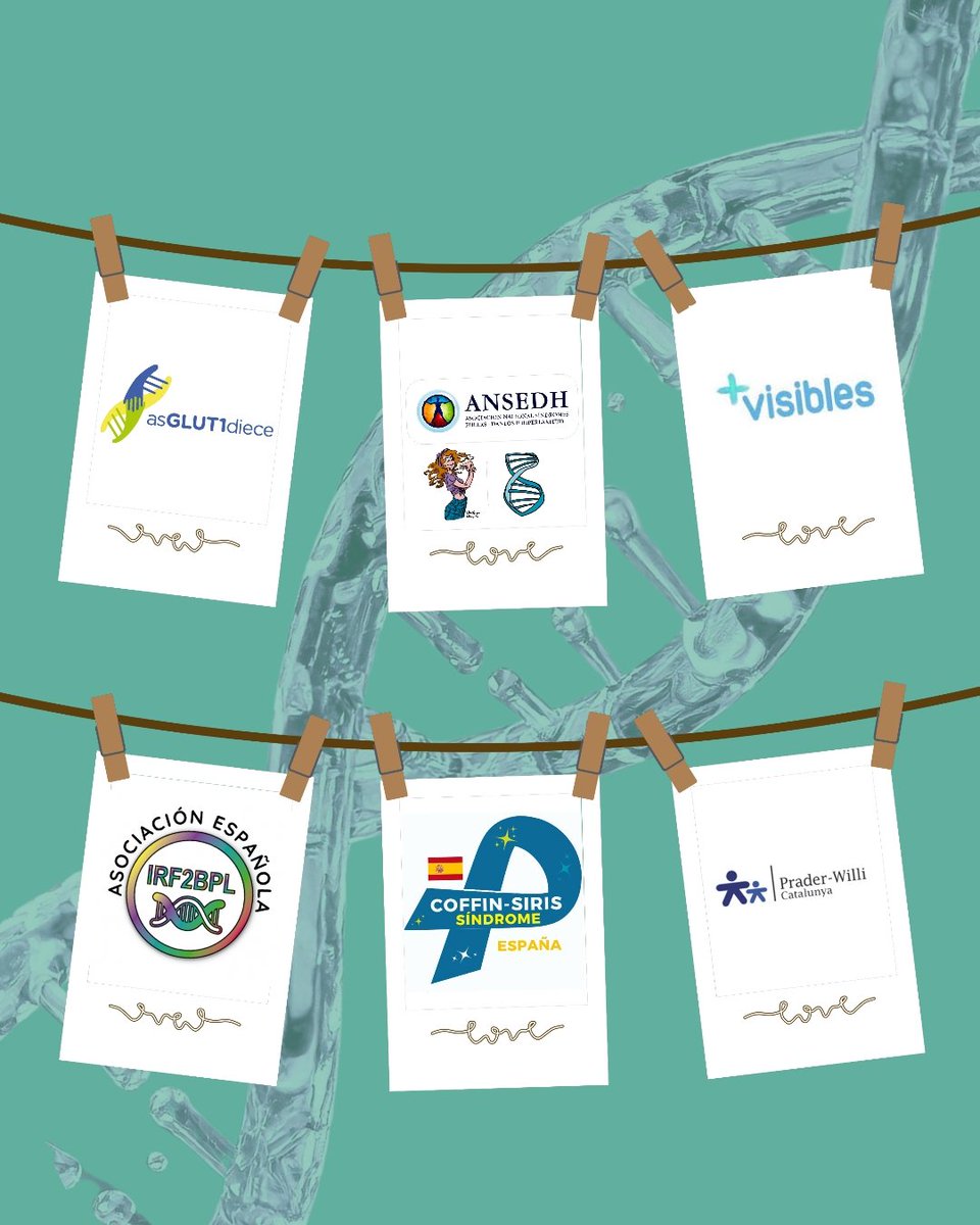 Curses infantil Adaptada Eixample tweet media