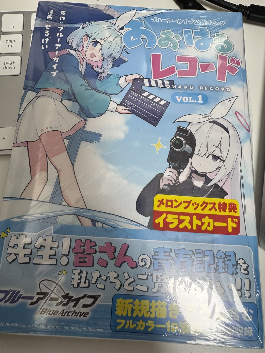 Post by sapphire on X: #ブルアカ