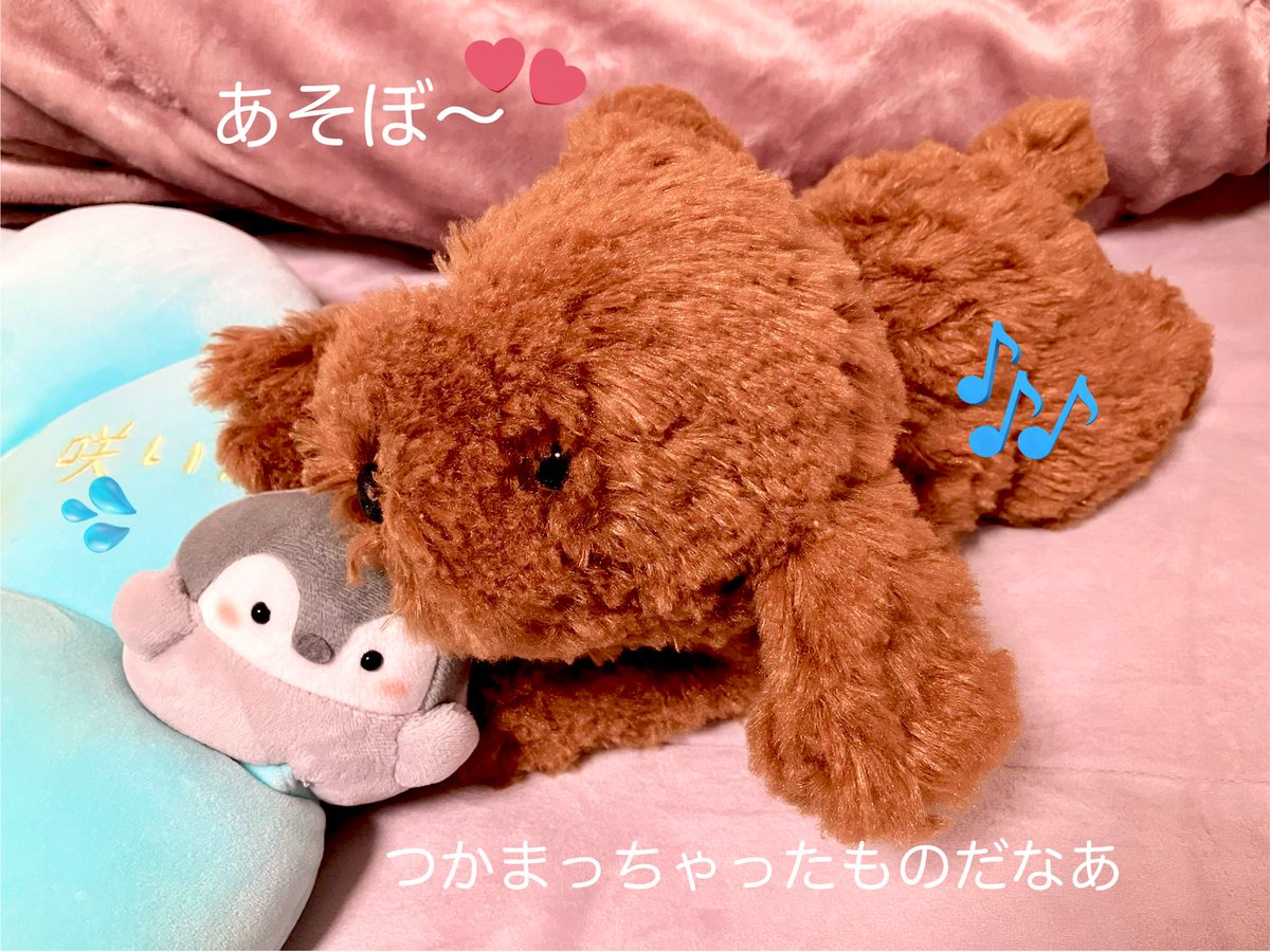 先日の先住ぬいさんたちのブラッシングで、わんちゃんが、セサミストリートのスナッフィーみたいなごわごわ毛玉からフワフワに蘇ってテンションマックス🐶🎵お花コウペンちゃんのこと気に入っているみたいなのだなあ😅

🌸🐧：実は遊んでもらえて、ちょっと楽しかったんだよ〜🥰