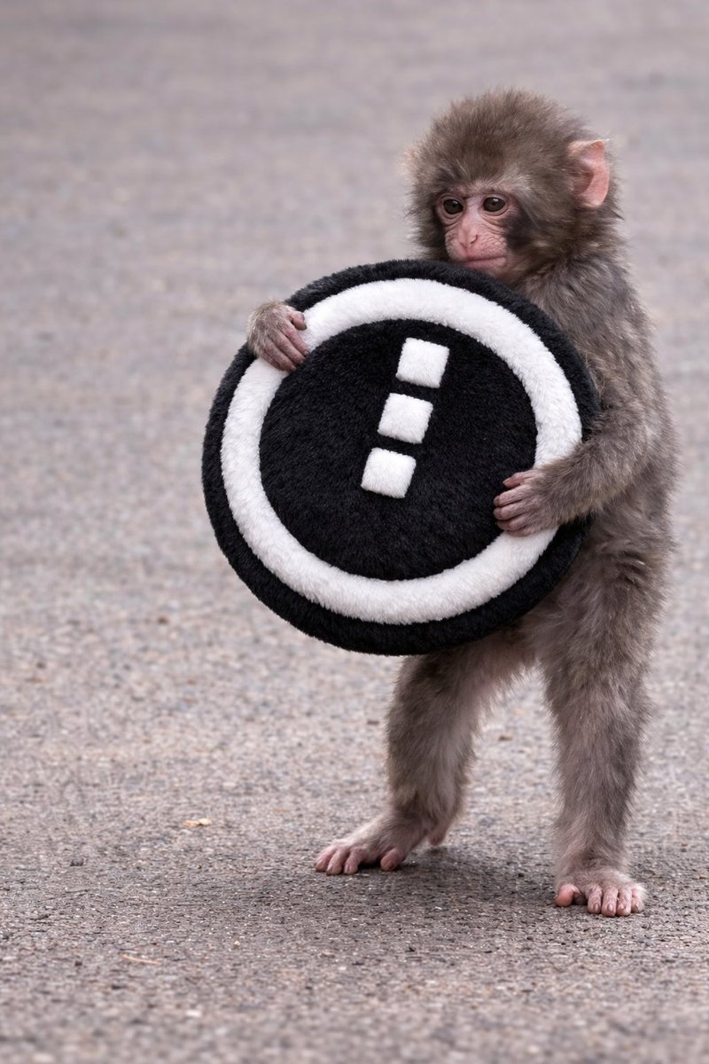 Midnight Intern tweet media