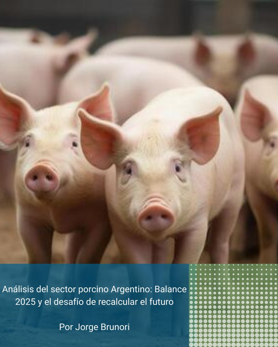 INTA Marcos Juárez tweet media