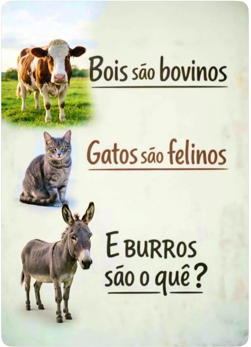 Marinês Araldi tweet media