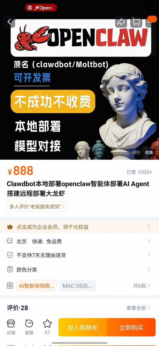 鸟哥 | 蓝鸟会🕊️ tweet media