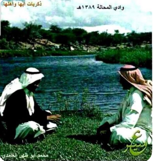 ابو ناصر tweet media