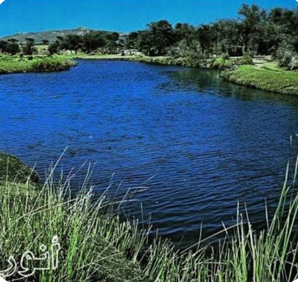 ابو ناصر tweet media