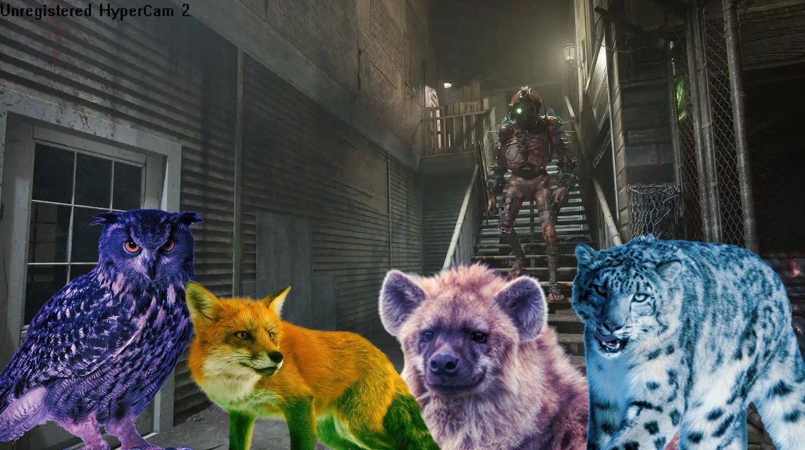 RipSkip 🐾🦴 ハイエナ tweet media