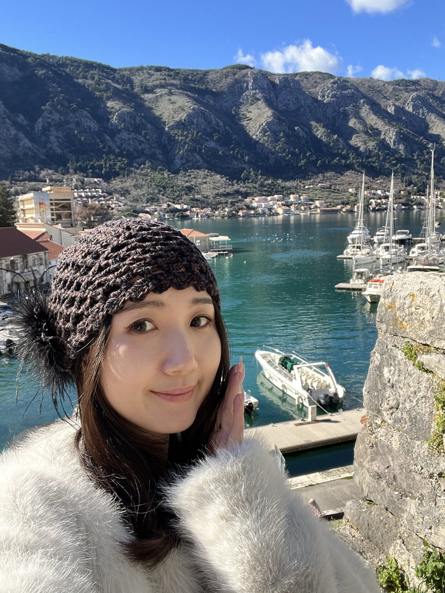 yy F (@fairy_cabbage) on Twitter photo 