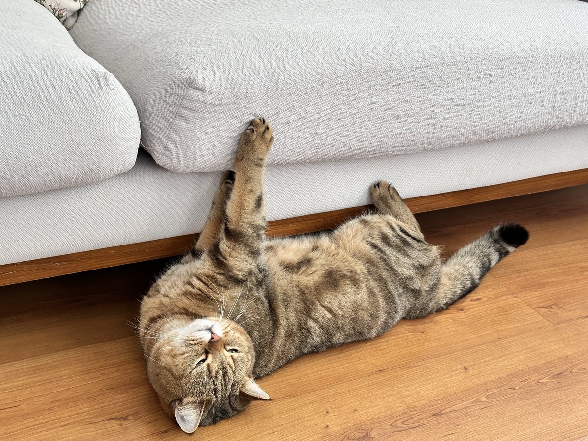 Oruçluyken herhangi en ufak bir iş söylediğinde girdiğim tripler 
(Bir de bayıl istersen)