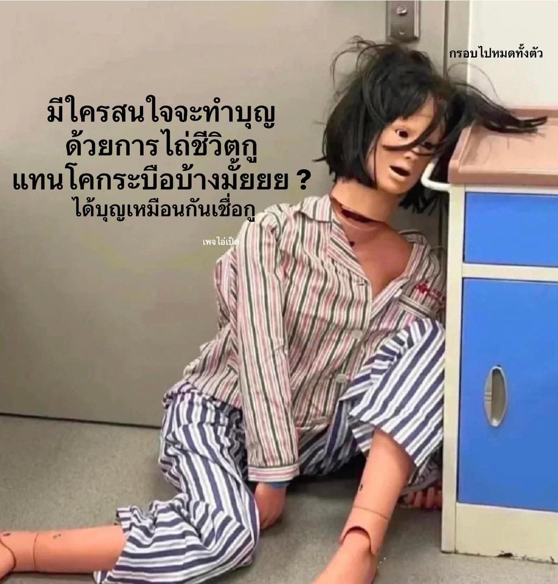 ✿ moomin | ทักไลน์เท่านั้น 💘💬 ⊹ ݁ ִ ۫ tweet media