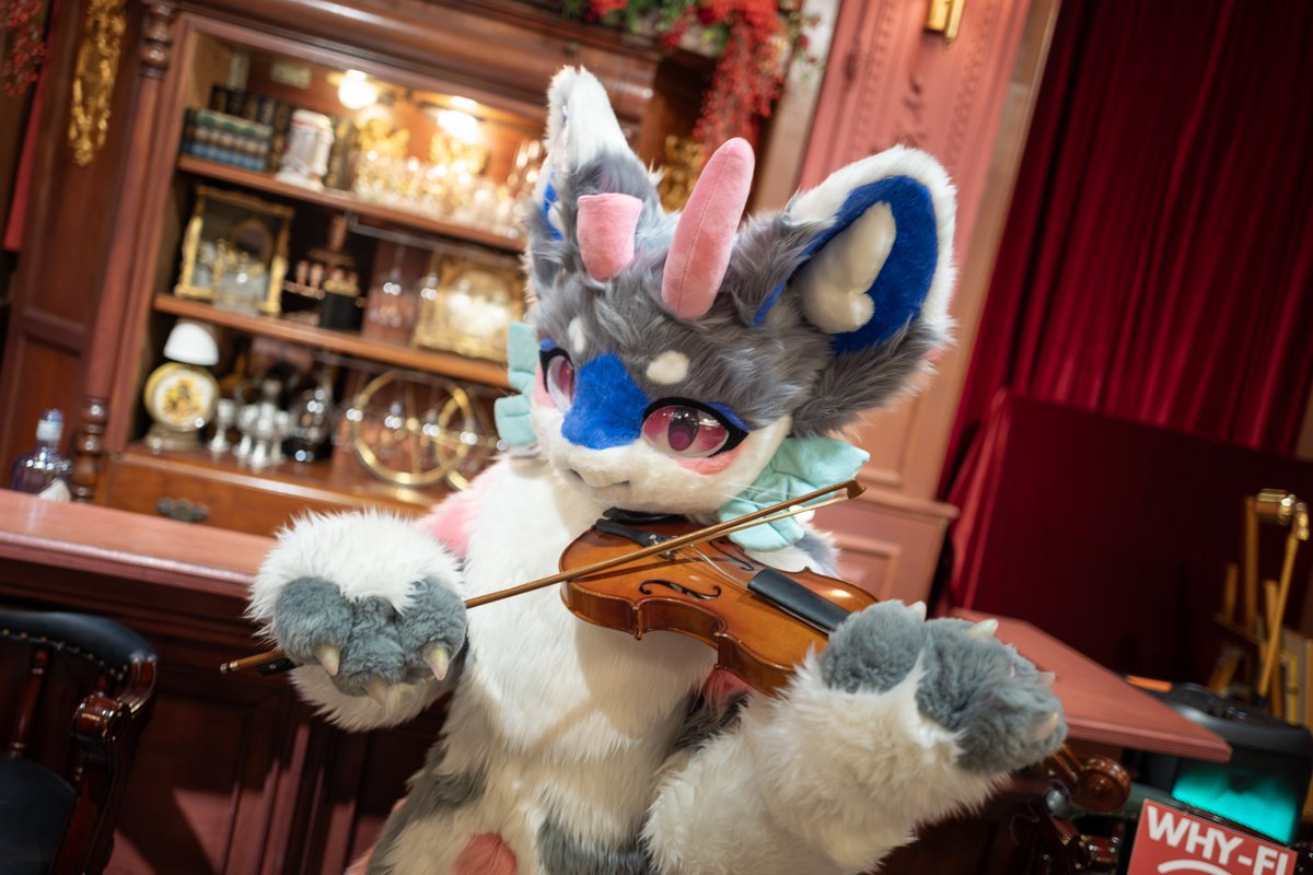 띤띤띵띠리리😎🎶
#fursuit #FursuitFriday #FursuitEveryday #furry