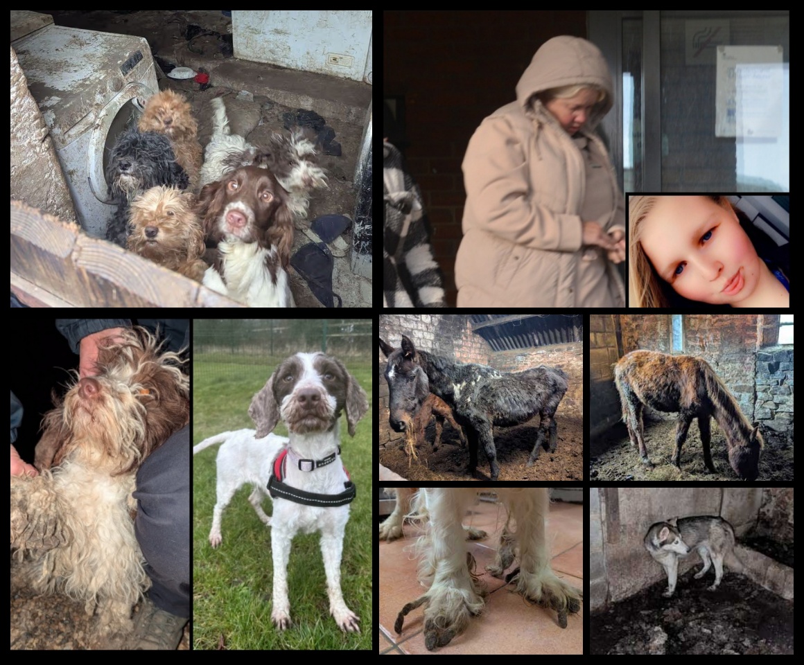 AdoptionsUk's tweet image. Please retweet CONVICTED | serial animal abuser Kerry Anne Pickersgill, 48, and her daughter Ellie Newby, 25, from #BarnardCastle, #CountyDurham #DL12 #UK - caused immense suffering to dozens of horses and dogs on their farm, some deceased - AVOID JAIL📢🌈
Animal welfare officers