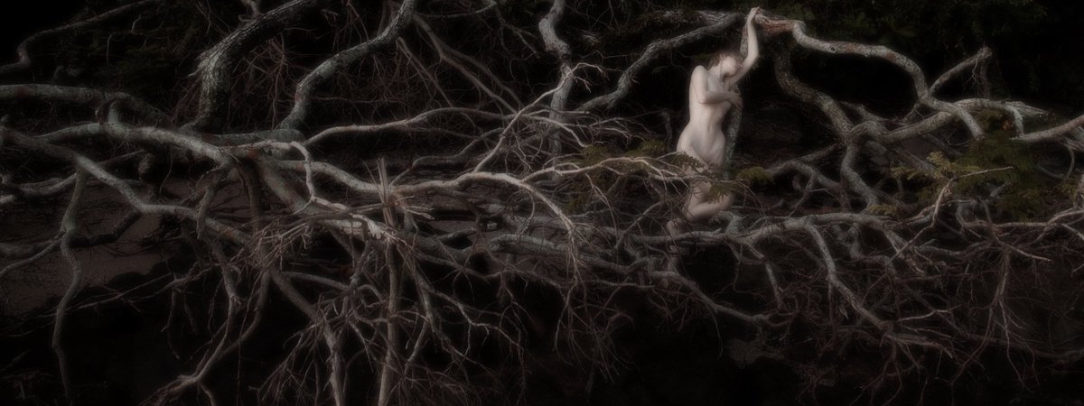 KATYA TSOY tweet media