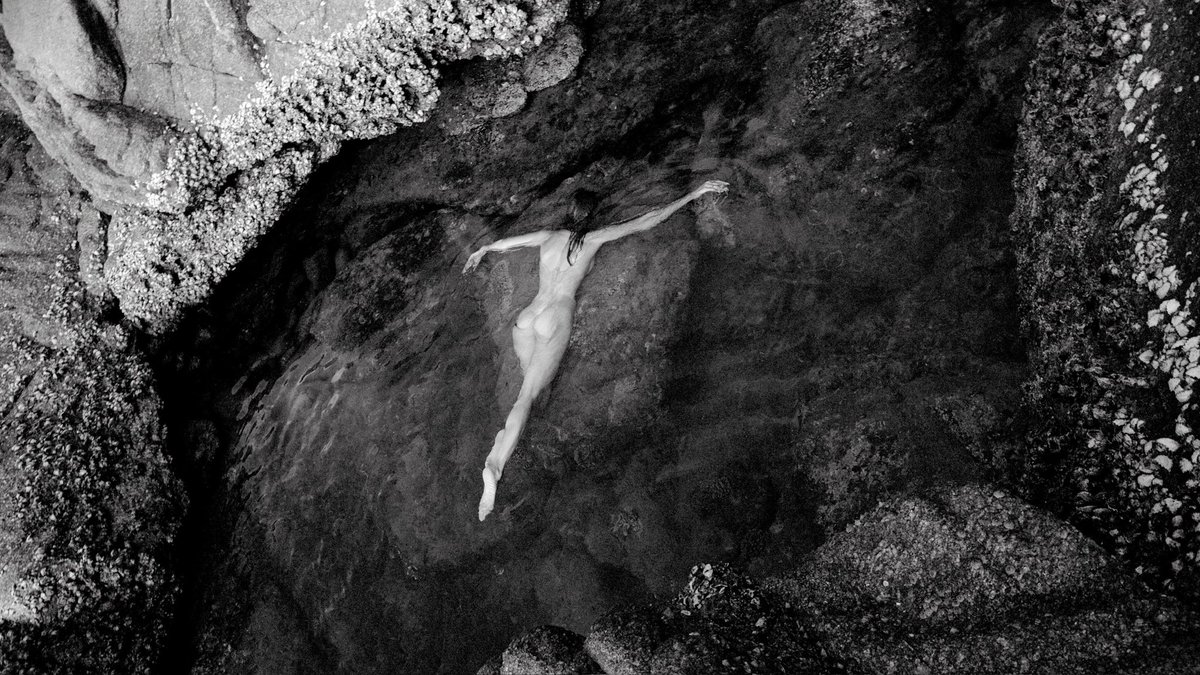 KATYA TSOY tweet media