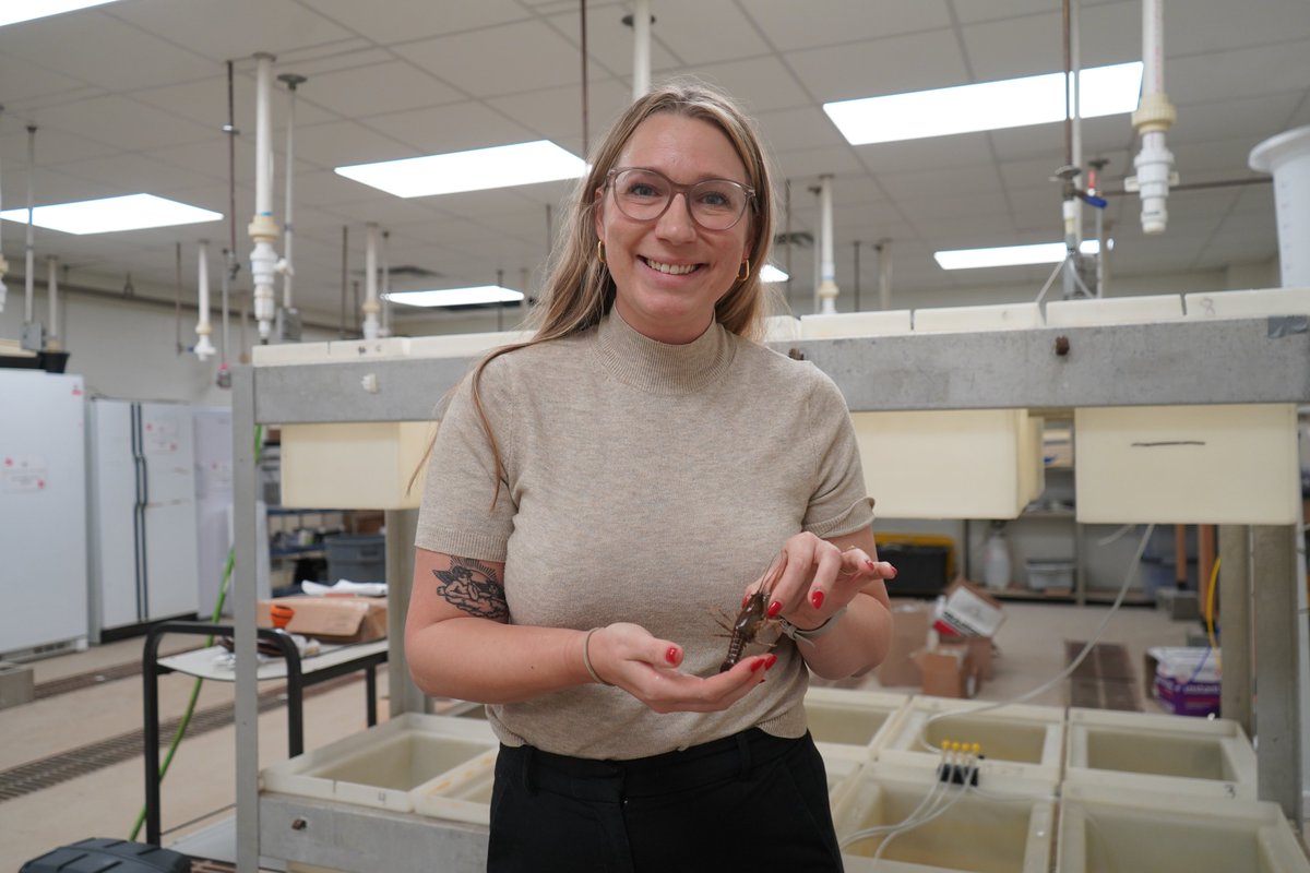 LSU AgCenter tweet media