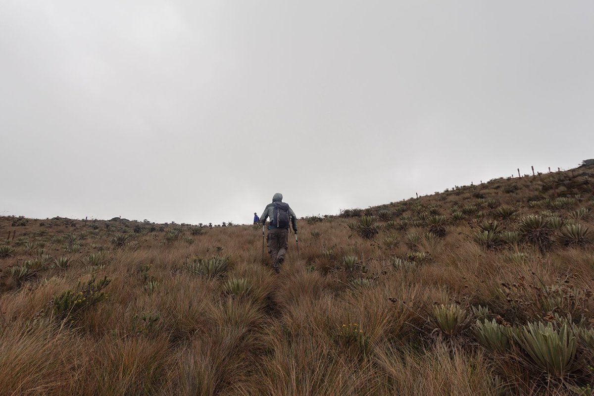 Asoc.Diplomática y Consular de Colombia tweet media