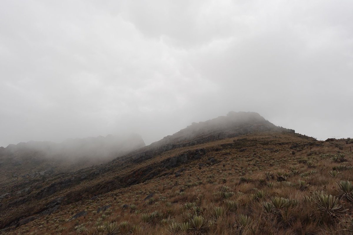 Asoc.Diplomática y Consular de Colombia tweet media