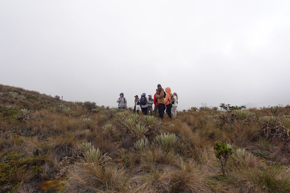Asoc.Diplomática y Consular de Colombia tweet media