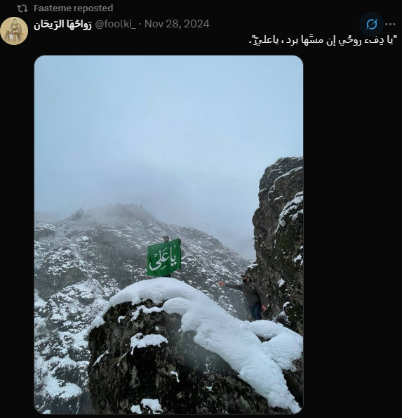 Mas_Morale's tweet photo. @faatemeheidari arzeshi detected https://t.co/IINSyeqNdR