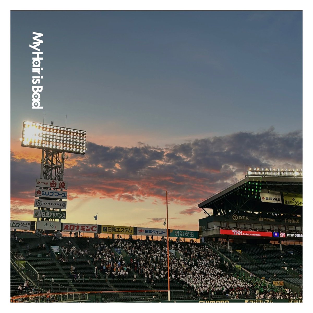 菜 tweet media
