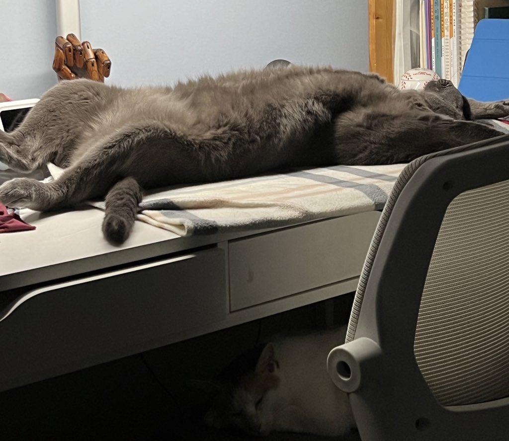 프리라떼주인 tweet media