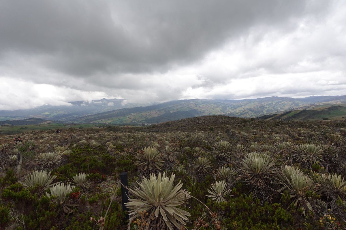 Asoc.Diplomática y Consular de Colombia tweet media