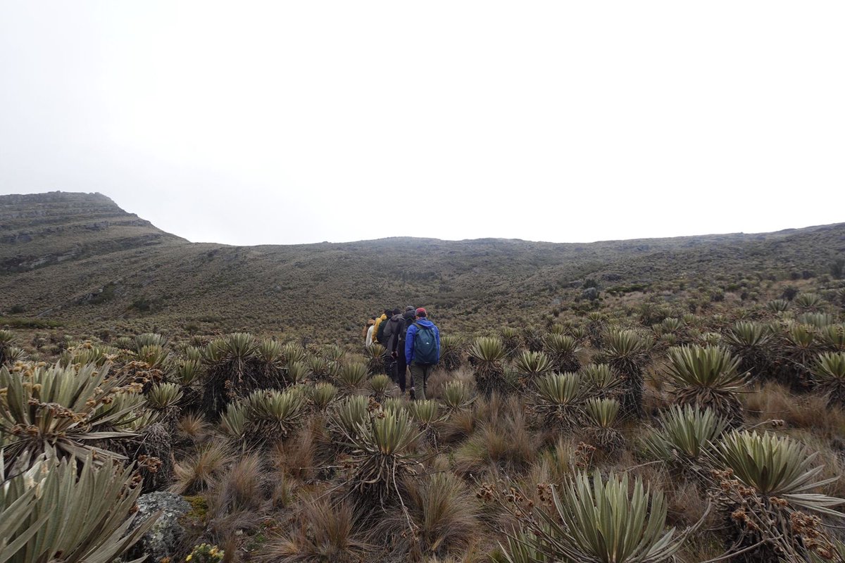 Asoc.Diplomática y Consular de Colombia tweet media