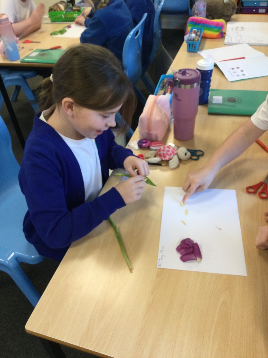 Miss Dent tweet media