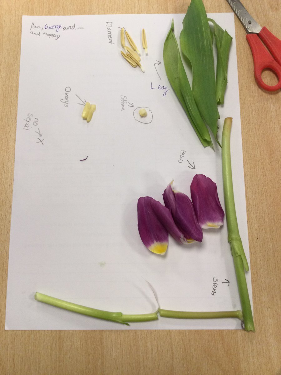 Miss Dent tweet media