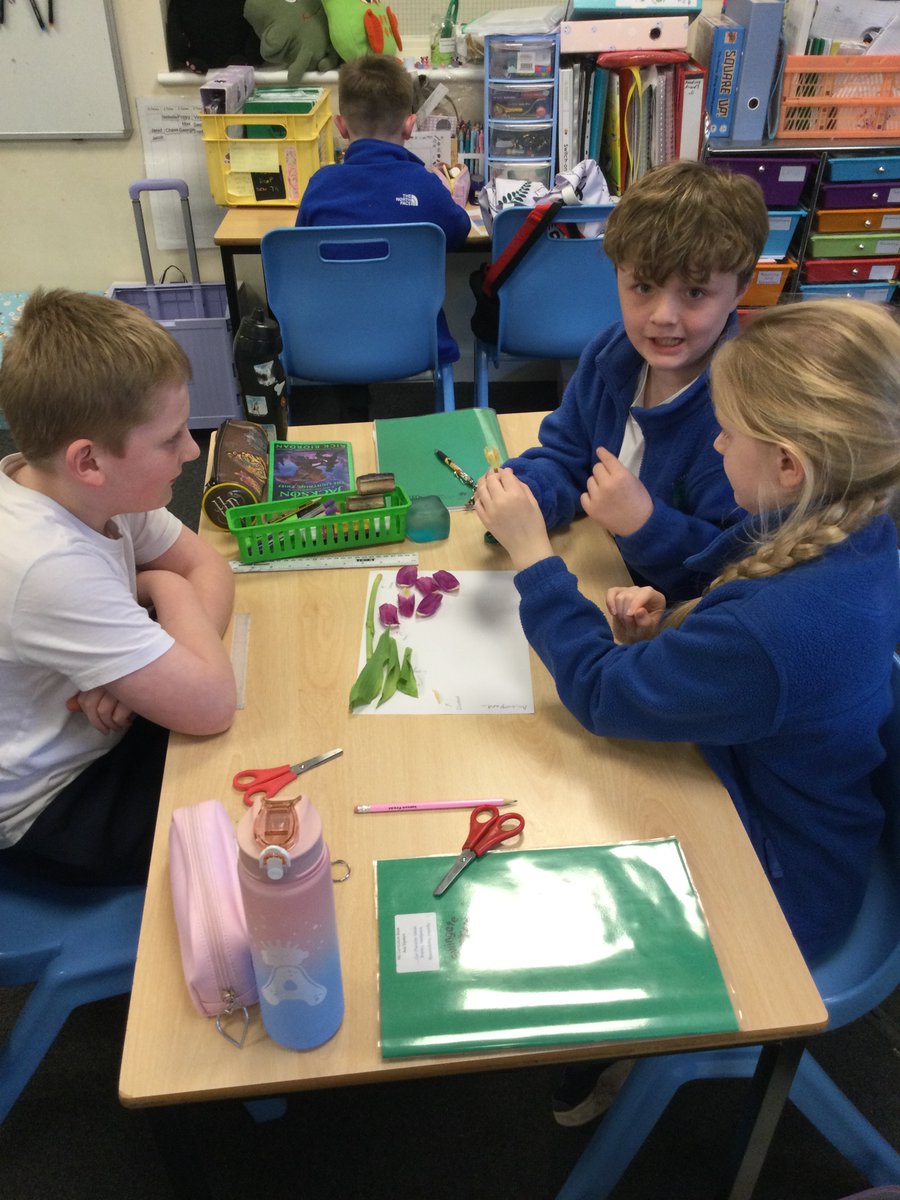 Miss Dent tweet media