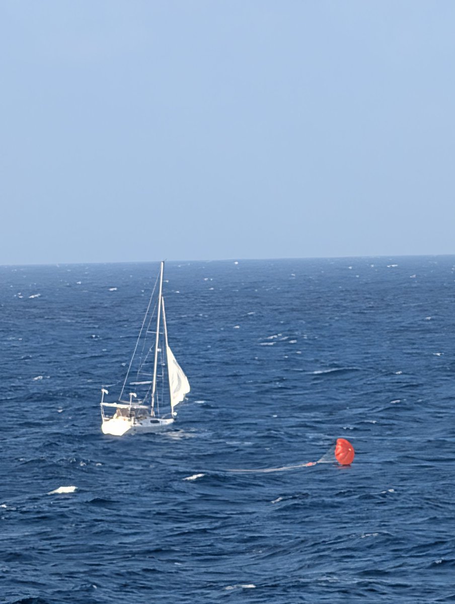 Beci Mahnken tweet media