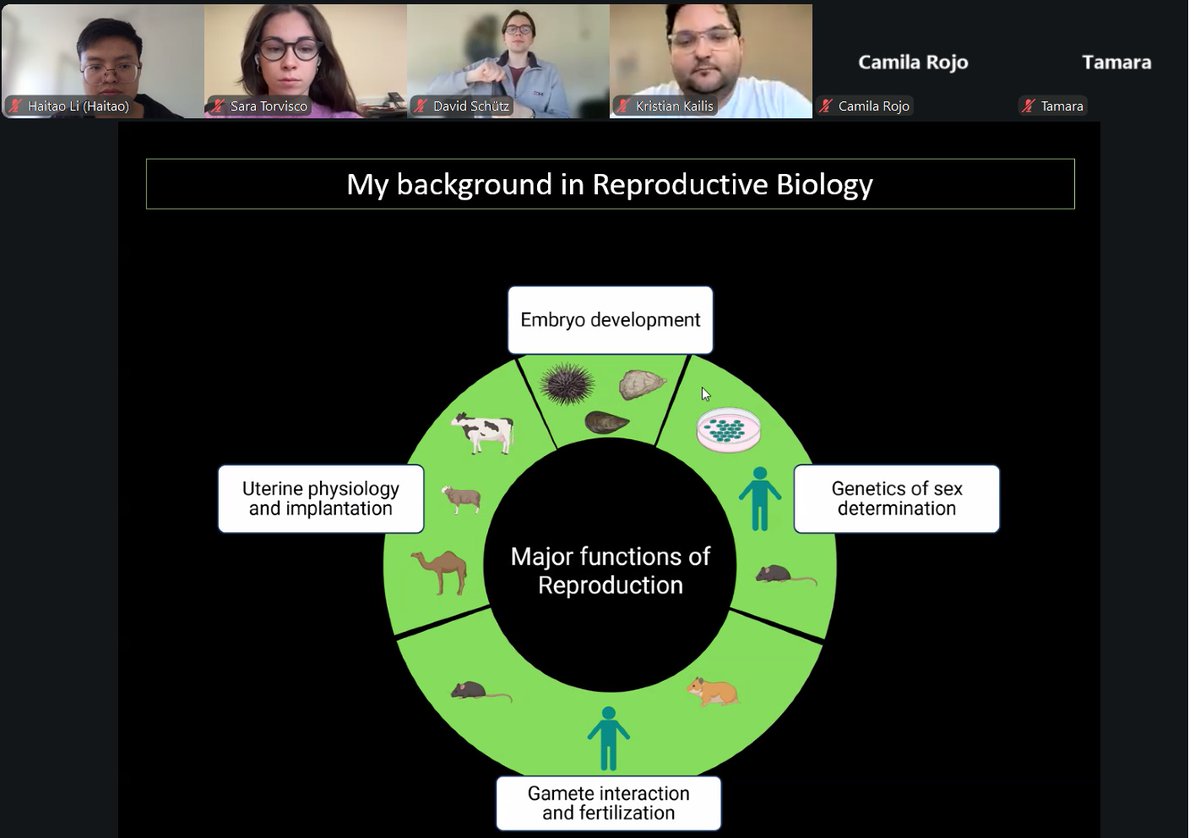 AFRODITA European Doctoral Network tweet media