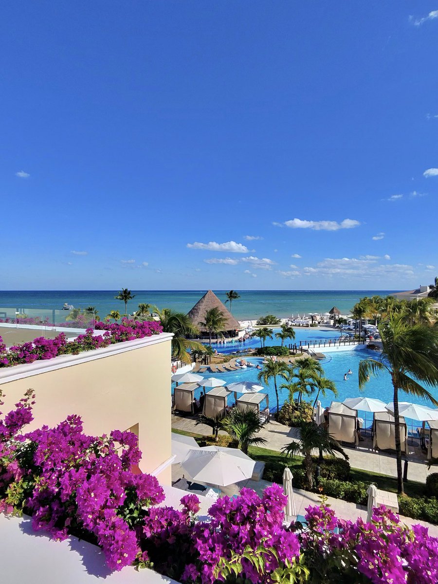 Ariel Hernandez tweet media