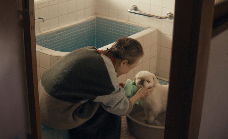 オミソシ82.2kg tweet media