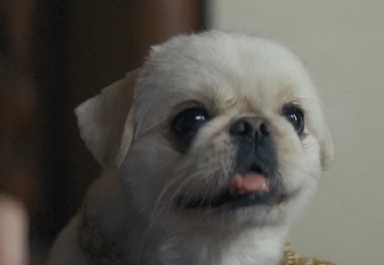 オミソシ82.2kg tweet media