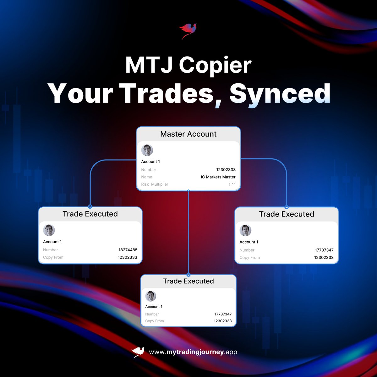 My Trading Journey tweet media