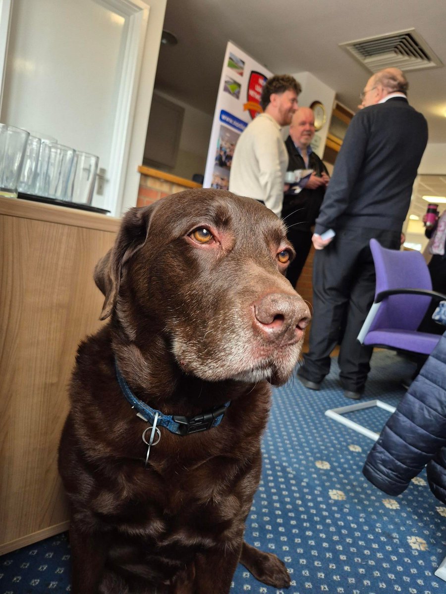 Non League Networking tweet media