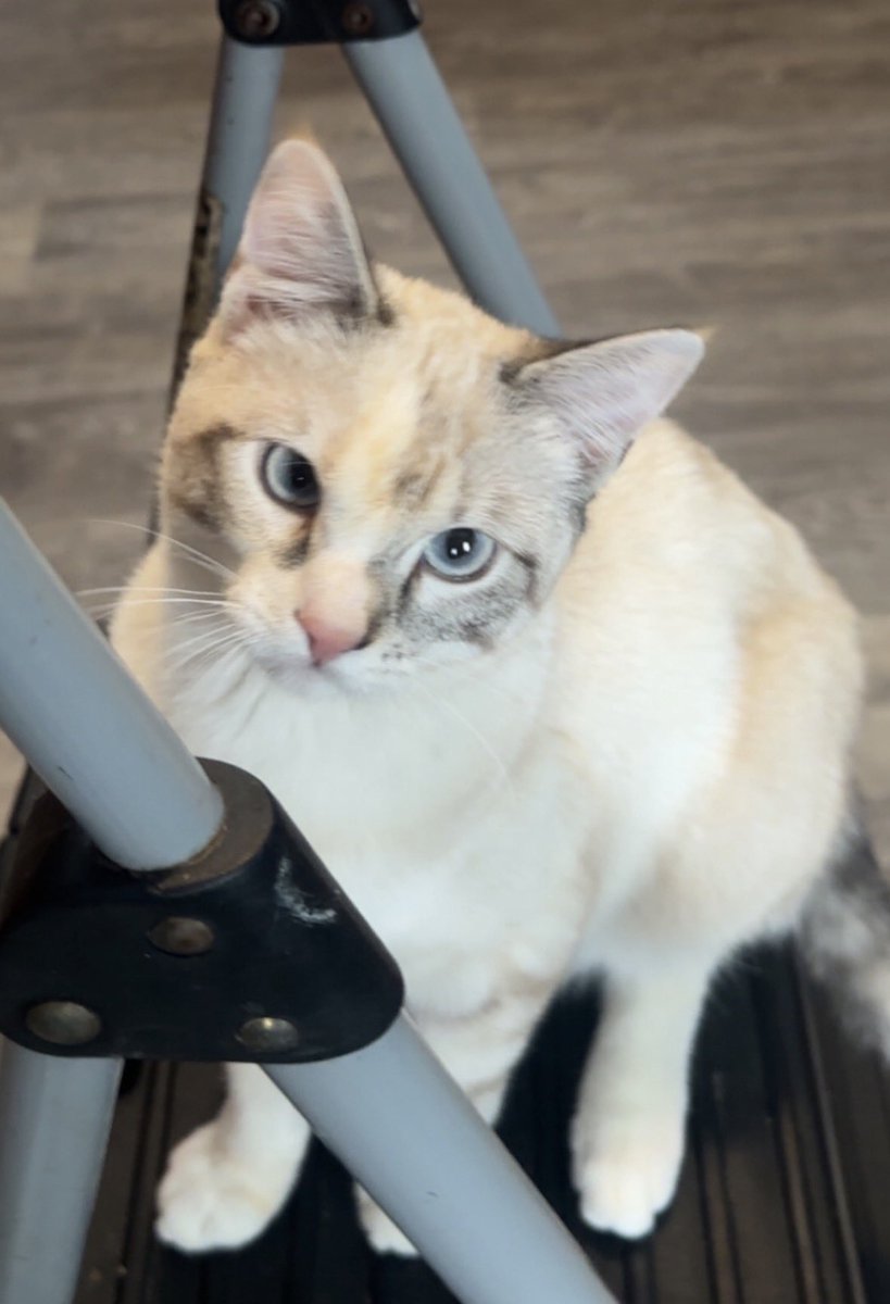 UIMCharon tweet media