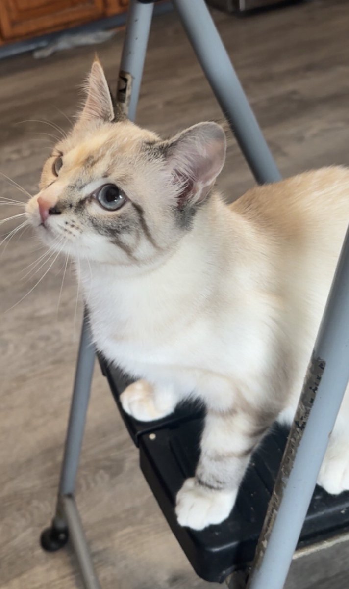 UIMCharon tweet media