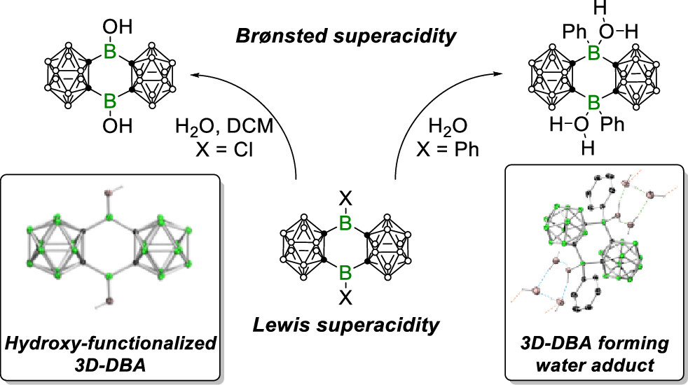 The Ye Group tweet media
